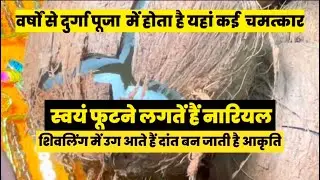 Nariyal Me Prakat Hui Maa  Swayam Futa Narial Patna Me Chamtkar #durgapujapatna
