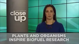 Surrey Biofuel Facility