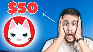 IS CAT IN A DOG'S WORLD (MEW) COIN EVER MAKING YOU MILLIONAIRE