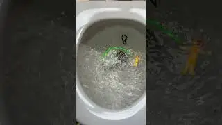 Flushing things