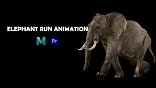 Elephant Run Animation