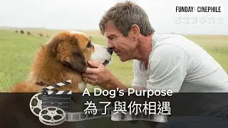 FUNDAY Cinephile 電影迷 | A Dog's Purpose 為了與你相遇