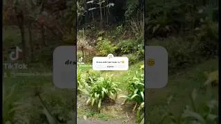 el encano Nari&ntilde;o Colombia 🇨🇴,  suscr&iacute;bete y s&iacute;gueme en tiktok para ubicaci&oacute;n exacta