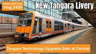 Sydney Trains Vlog 2439: Orange Tangara Technology Upgrade Sets at Central