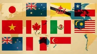ＴＰＰ１１って何？
