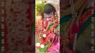 parul rathva new timli status 2026