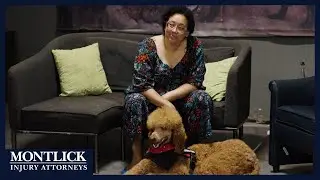 Service Dog Surprise for Disabled Army Veteran | Montlick Veteran Support