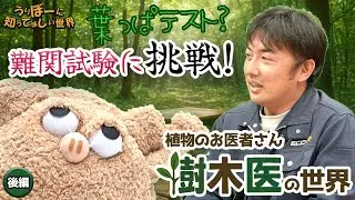 【うりせか｜樹木医の世界】超難関葉っぱテストにうりぼーが挑戦！樹木医の世界〜後編〜