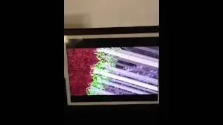 Chromosome separation