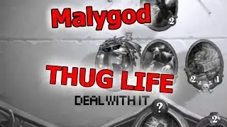 Hearthstone Malygos Thug Life