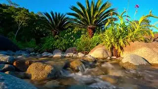 Dark River at Night &ndash; Soothing Sleep Sounds
