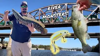 Double River Dragons & Return of the Bean Lure!