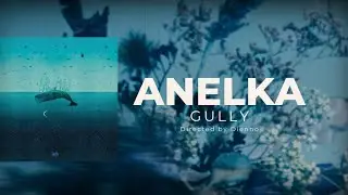 Gully-Anelka[Lyric Video]