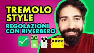 TREMOLO STYLE - ARPEGGI MOZZAFIATO - 3 regolazioni con riverbero - Effetti Chitarra