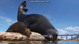 Finding Dory Cutscene 2