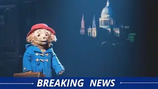 Paddington Review: The Funniest & Most Heartwarming Musical Comedy of the Year