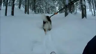 Hok Skis Skijoring &  General Fooling Around