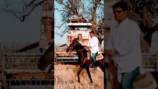 horse running video | | horse race video  | | #shorts #animal #horse