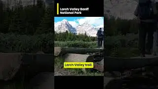 Larch Valley Banff National Park - 🍂 Fall in love with Larch Valley Banff as it turns into a golden