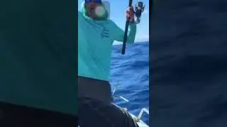 Fisherman dancing with Big BARRACUDA #fishing #fisherman #ocean #barracuda #cuda #fishinglife
