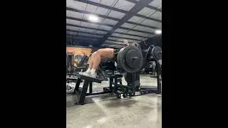 Hammer Strength Glute Drive Machine