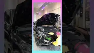 XPEL ultimate plus.. paint protection film