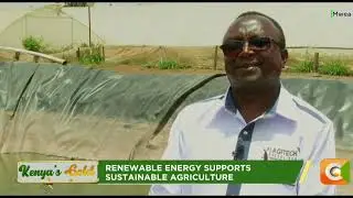 DIVERSIFICATION AND WATER HARVESTING