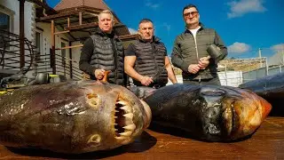 ¡PIRANAS A LA PARRILLA! ¡COCINÉ PIRANAS Y ME LAS COMÍ! Cómo cocinar pirañas al fuego