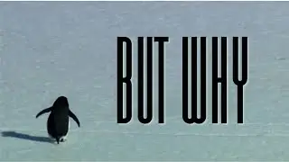 The 'WANDERING NIHILISTIC PENGUIN' Music - L'Amour Toujours (Organ Version by Andreas G&auml;rtner)