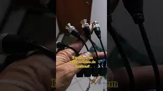 Untitled video