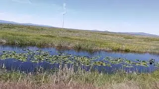 Klamath Marsh for Wildlife