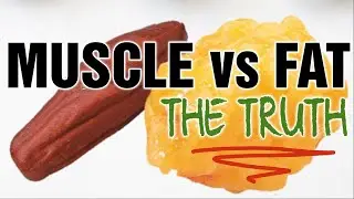 Muscle Or Fat || They're Practically The Same.