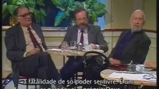 AGOSTINHO DA SILVA VIII.wmv