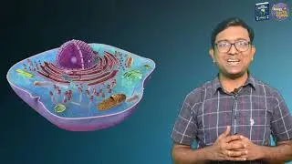 Cytoskeleton I Cell the unit of life I NEET I Dr Kunal (KT)