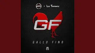 Gallo Fino