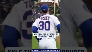 Kyle Tucker introduced at Wrigley Field 👏