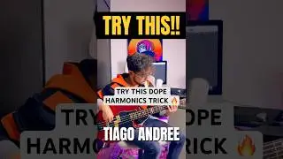 Try this dope harmonics trick 🔥 #bass #bassplayer #funk #tips #tiagoandree