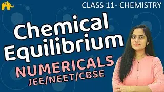 Equilibrium Class 11 Chemistry | Numericals | IIT JEE NEET Questions