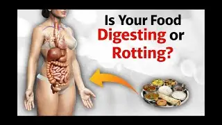 Is Your Food Being Digested or Rotting Inside You? | How to Improve Digestion Naturally at Home