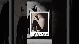 ANIMA by Leithart Solei  #dance #photography #dancer #photoshoot #art