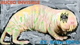 BUCEO INVISIBLE &ndash; Ey, rata topo