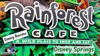 Disney Dining at RAINFOREST CAFE Dinner Review at Disney' Springs