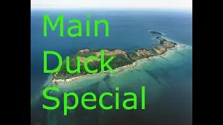 Main Duck special