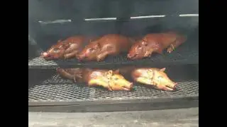 BQ Smokers pig cooker smokers and barbecue pits
