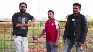 Urban Bio-Fisheries | Biofloc Fish Farming | Fish Farming in Delhi | How To Start Fish Farming