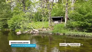 Video guide canoe trip Stockam&ouml;llan to Herrevadskloster 2024 in English v1