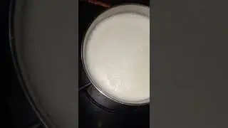 Desi cow milk vs hf cow milk only taste difference..Desi cow milk little bit sweet than hf cow