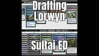 Quick Guide to Lorwyn Draft Sultai Edition #mtg #foryou #fun #guide #funny #cardgame #shorts