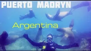 Diving with sea lions, Puerto Madryn, Argentina / Buceo con Lobos Marinos. Puerto Madryn. Argentina.