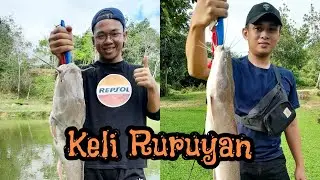 Pemancing Baru Menduga Keli Kolam Ruruyan Tenom Sabah